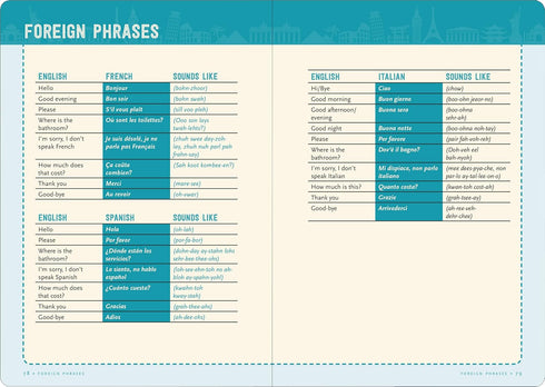 TRAVEL CHECKLIST JOURNAL - PETER PAUPER PRESS